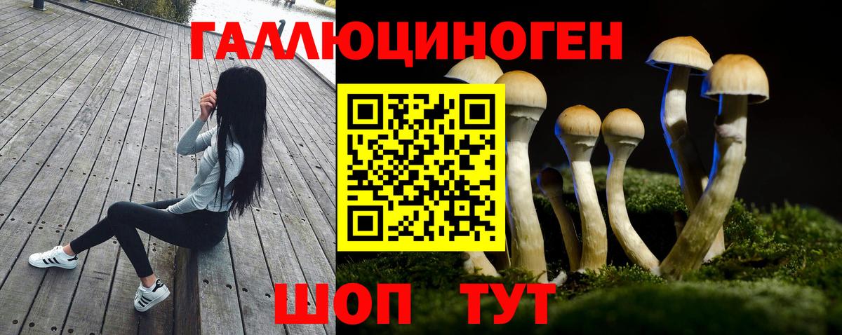 Галлюциногенные грибы Psilocybe  Вход с VPN  Лобня 